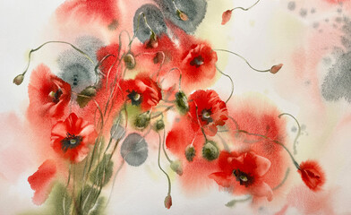 Red poppy flowers watercolor background. Valentine illustration