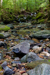  Der Feldbach in der Kaskadenschlucht bei Sandberg, Stadt Gersfeld, Biosphärenreservat Rhön, Hessen, Deutschland