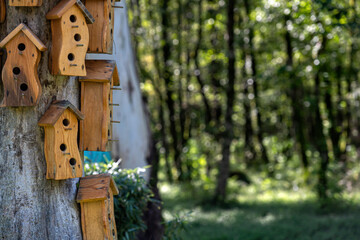 Many multi-story birdhouses on a tree in the park. Concept of urbanization and overpopulation.