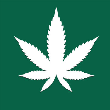 Cannabis and marijuana leaves