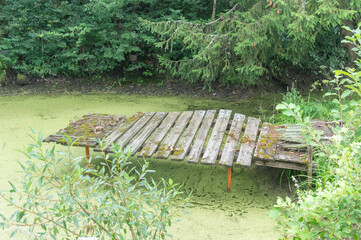 Overgrown moss pier built over green pond.