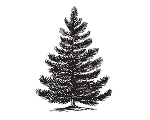 Christmas tree hand drawn illustrations