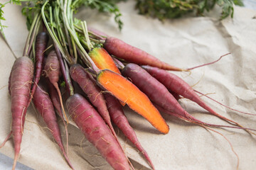 Organic carrot harvest with bright orange hue core and purple peel close-up on grey table  - obrazy, fototapety, plakaty