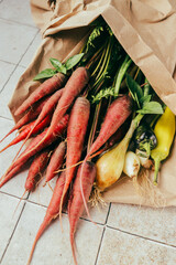 organic vegetables from the farmer's garden or market