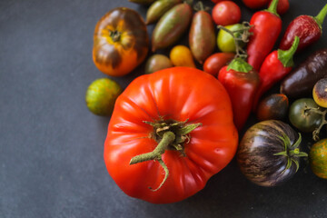 beautiful organic tomatoes of different shades and shapes close-up