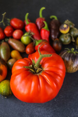 beautiful organic tomatoes of different shades and shapes close-up