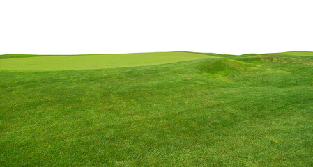 Golf course isolated over a transparent background. Png. Lush green grass meadow background, grass field texture.