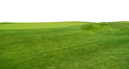 Golf course isolated over a transparent background. Png. Lush green grass meadow background, grass field texture.