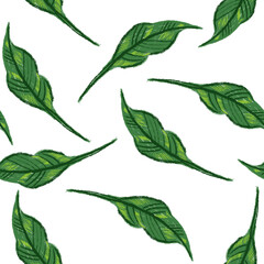 Seamless pattern of green leaves. Branches in the style of pencil drawing. Background with leaves for packaging, textiles