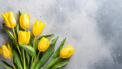 Yellow tulips on light grey background with copy space on a side. Top view