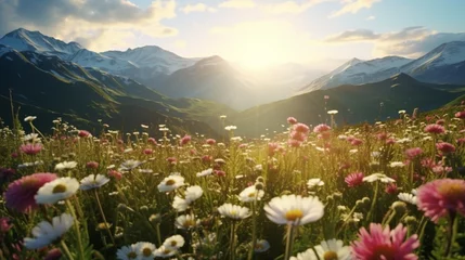 Deurstickers A breathtaking field of wildflowers, a testament to the wonders of natural diversity. © rehman