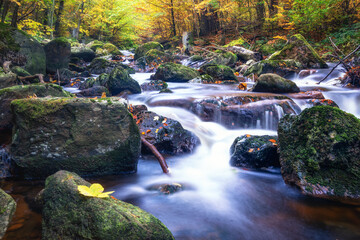 Das Ilsetal mit herbstlich Laubfärbung und kleiner Wasserfall