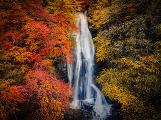 Fototapeta na wymiar Waterfall. Falls of Acharn, Perthshire. Scotland.