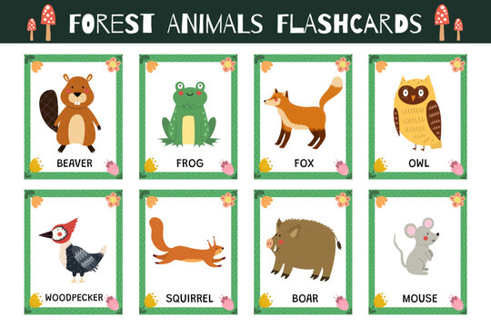 Forest animals flashcards collection for kids. Flash cards set with cute woodland characters for practicing reading skills. Beaver, fox, squirrel and more. Vector illustration