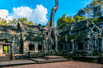 Ta Prohm.  The iconic Angkor temple taken over by the jungle.  The huge roots of trees grow over the ruins.  Blue sky with white clouds.  Featured in the movie 'Lara Croft: Tomb Raider'. 