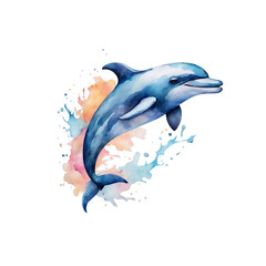 watercolour dolphin