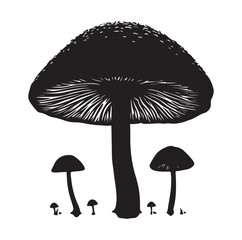 Mushroom silhouette Vector On White Background.