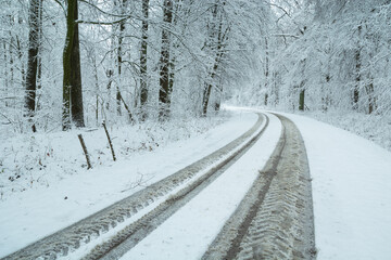 Snow-covered road through the forest