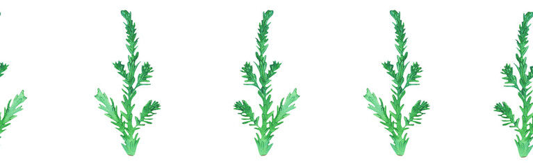 Christmas watercolor horizontal seamless background with fir branches on white background