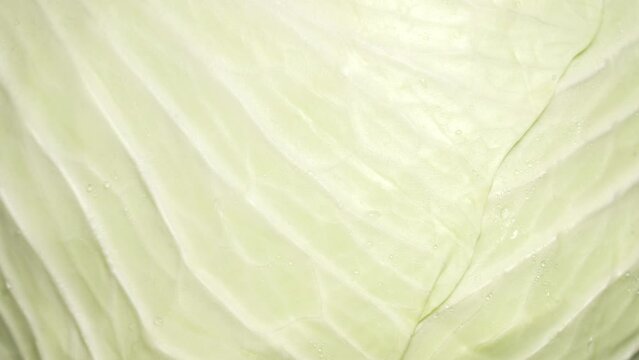 Closeup macro view of texture of fresh organic wite cabbage spinning around slowly. 4k slow motion video footage of big round wet dewy head of cabbage