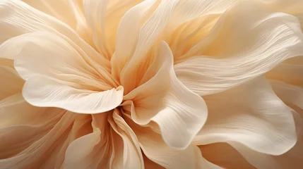  A close-up of a petal's delicate texture, nature's intricate artwork on display. © rehman