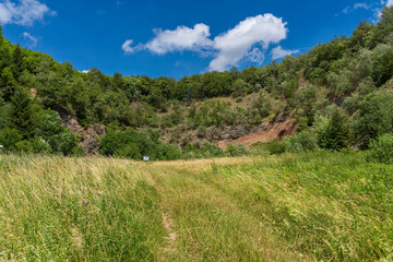 Geotop Gebirgsstein im NSG Schwarze Berge bei der Kissinger Hütte, Biosphärenreservat Rhön, Wildflecken, Unterfranken, Franken, Bayern, Deutschland