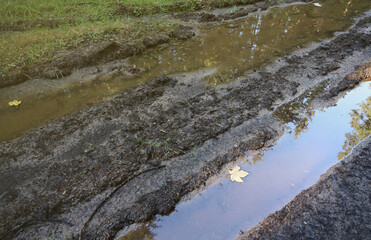 Muddy tracks with puddles on wet muddy surface in forest path close up