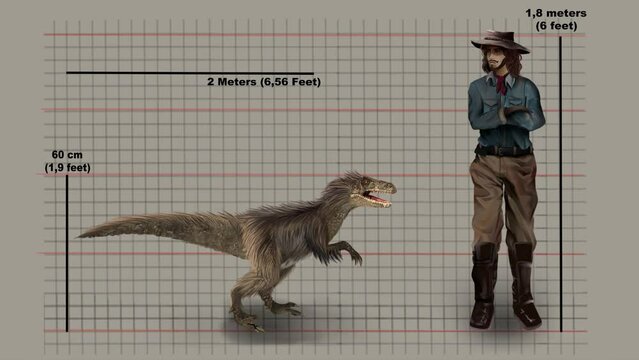 Realistic Animation Of Velociraptor And Man Comparing Size - Small Dromaeosaurid Dinosaur.