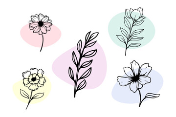 Vector line black illustration graphics set doodle flower with colors stain isolated on white design element	
