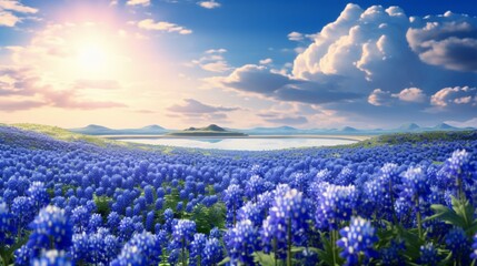 A field of bluebonnets, Texas' iconic wildflower, with their brilliant blue blossoms creating a sea...