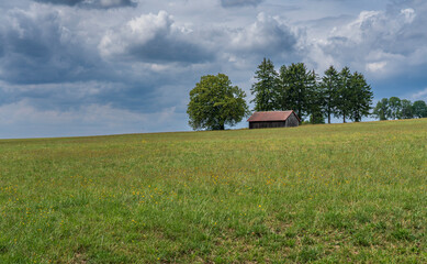 Die Platzer Kuppe im NSG Schwarze Berge, Biosphärenreservat Rhön, Unterfranken, Franken, Bayern, Deutschland
