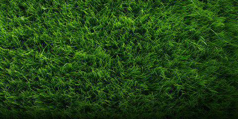 

Natural Grass Background, texture grass field, Top down view of grass texture for sports, Artificial grass field top view texture, grass landscape, garden plants, generative Ai - obrazy, fototapety, plakaty
