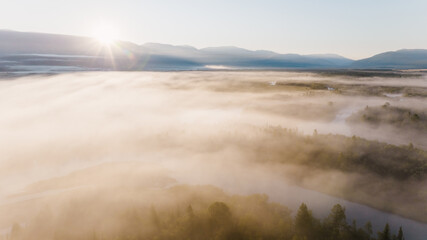 Early morning just after sunrise. Fog in the valley of the Chuya River. Coniferous forest in the fog. Kurai steppe. Summer landscape in Altai mountains, Siberia, Russia.