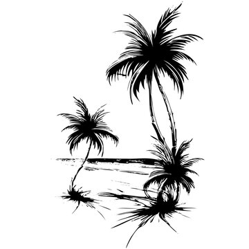Tropical palm trees with leaves, mature and young plants, black silhouettes isolated on white background. Sketch design.