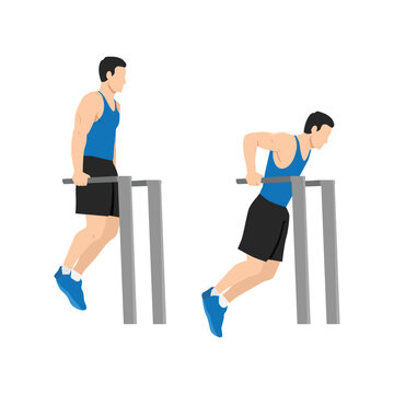 Man doing tricep dip exercise. Flat vector illustration isolated on white background