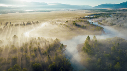 Early morning just after sunrise. Fog in the valley of the Chuya River. Coniferous forest in the fog. Kurai steppe. Summer landscape in Altai mountains, Siberia, Russia.