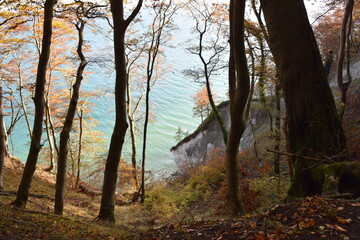 Wanderung im Jasmund Nationalpark auf Rügen