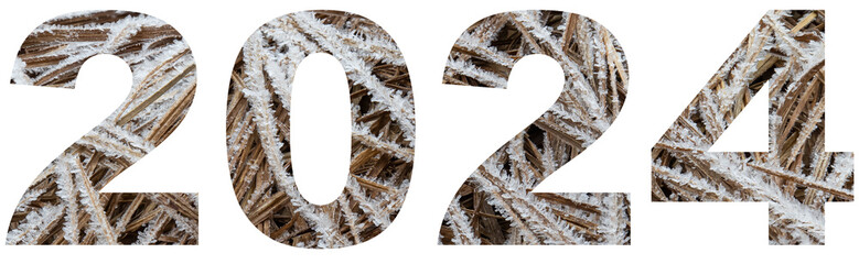 2024  numbers made of frosted grass