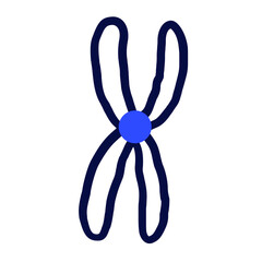 easter bunny isolated on white background