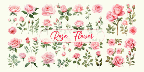 rose flower watercolor set collection with pink color, green leaves. Set of floral branch.Wedding concept with flowers. Floral poster, invite. Vector arrangements for greeting card or invitation desig