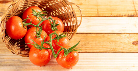Tomatoes, beautiful arrangement with tomatoes in a basket on rustic wood, selective focus.