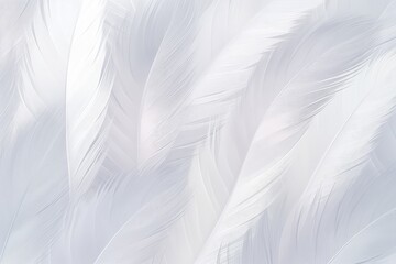 Beautiful Fluffy Grey Feather Abstract Feather Background