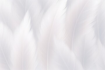 Beautiful Fluffy Pale Gray Color Feather Abstract Feather Background