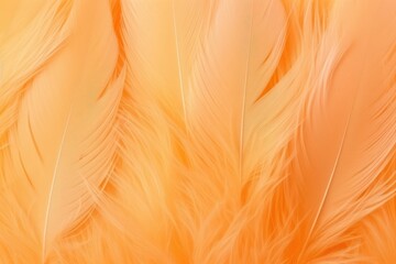 Beautiful Fluffy Pale Orange Color Feather Abstract Feather Background