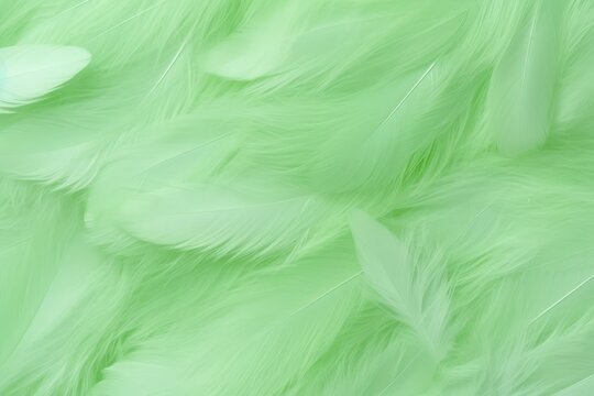 Beautiful Fluffy Pale Green Color Feather Abstract Feather Background © Anastasiia