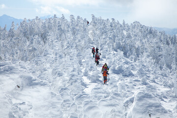 樹氷の森を歩く登山者1