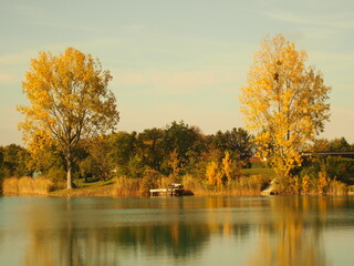 lake with two tree´s with beautiful sunlight