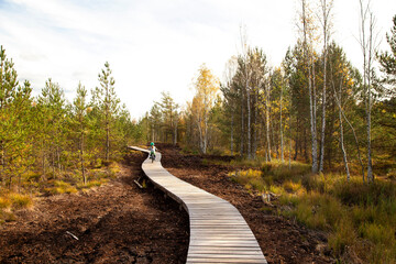 Small child riding on a bike on a wooden path through wetlands in National Park Sumava in autum - 678655224