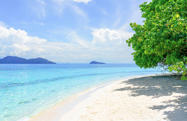 beach of Koh Lao Ya island, Trat, Thailand