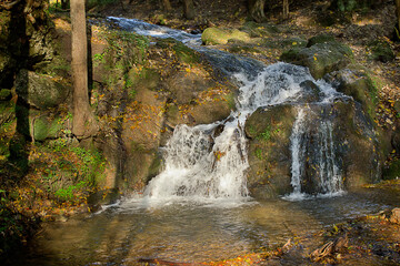 a forest stream with a waterfall in an autumn forest